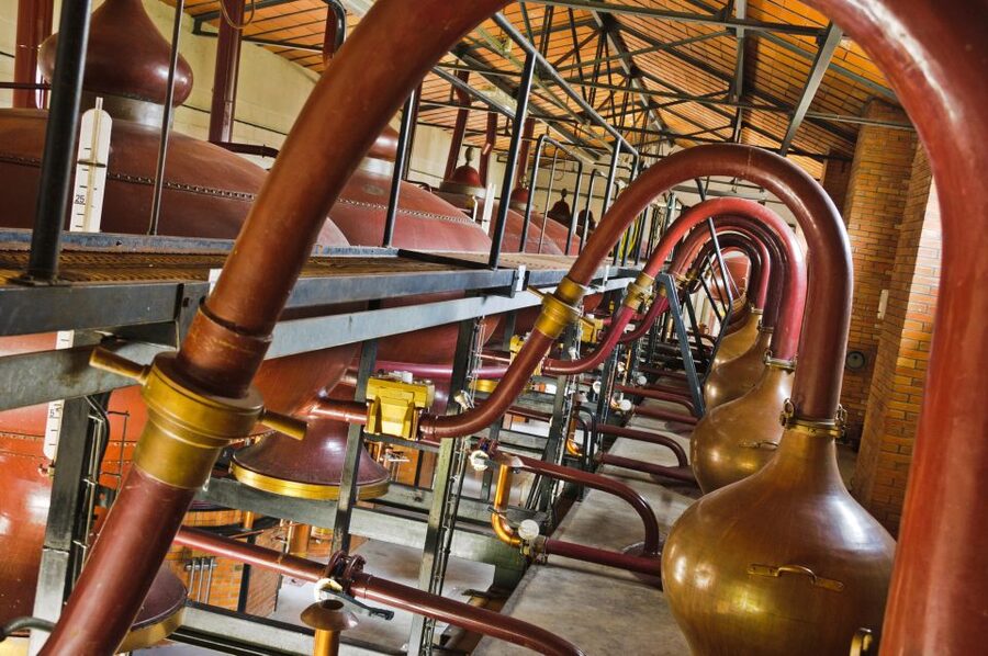 Jarnac: Braastad cognac discovery tour - What the $17 price really buys you