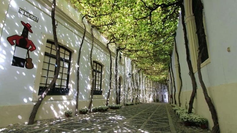 Jerez: 1.5-Hour Sherry Winery and Tasting Tour - Why González Byass makes a useful first stop in Jerez