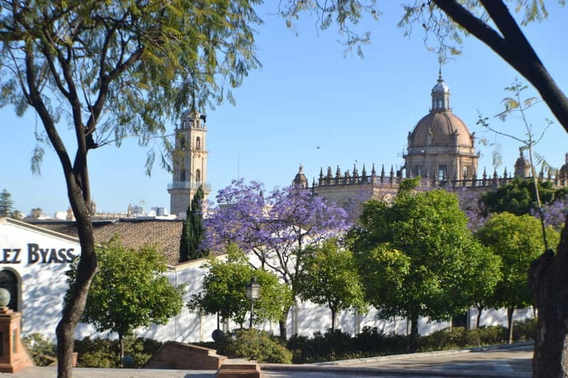 Jerez: 1.5-Hour Sherry Winery and Tasting Tour - The tasting: what your $39 covers