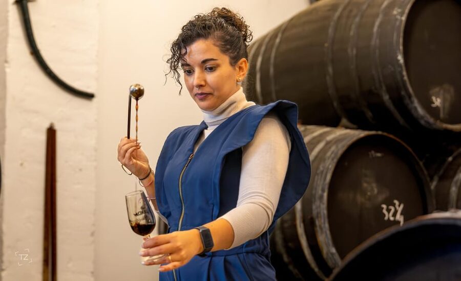 Jerez: Bodegas Álvaro Domecq Guided Tour with Wine Tasting - The solera and criaderas system explained