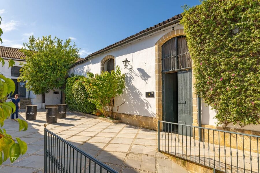Jerez: Bodegas Álvaro Domecq Guided Tour with Wine Tasting - Group size, guides, and language
