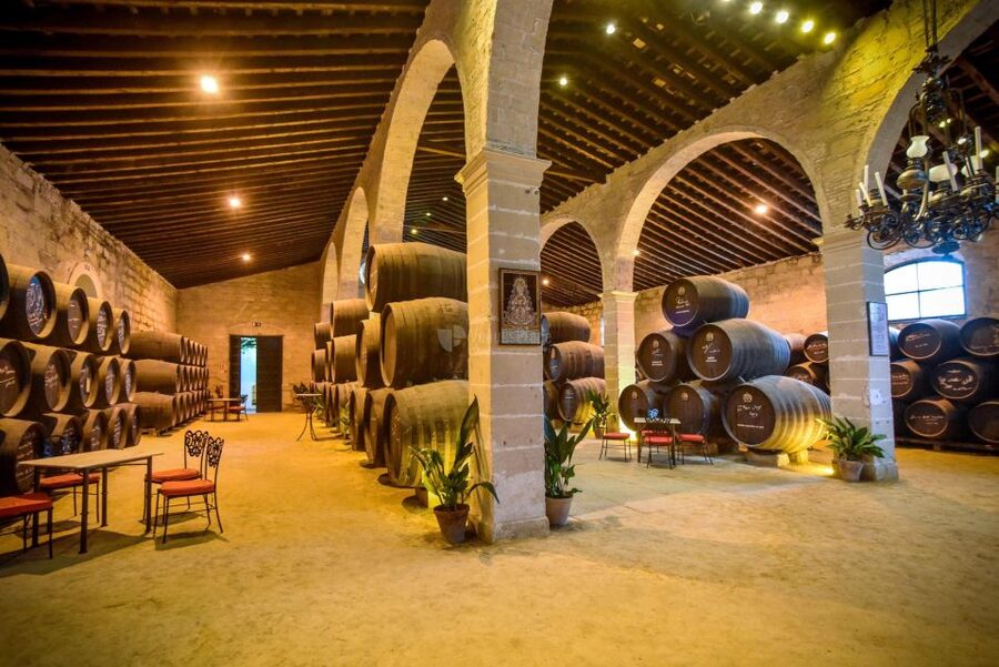 Jerez: Guided Winery Tour with Wine Tasting - Two wines with appetizers: useful, but not a full tasting flight