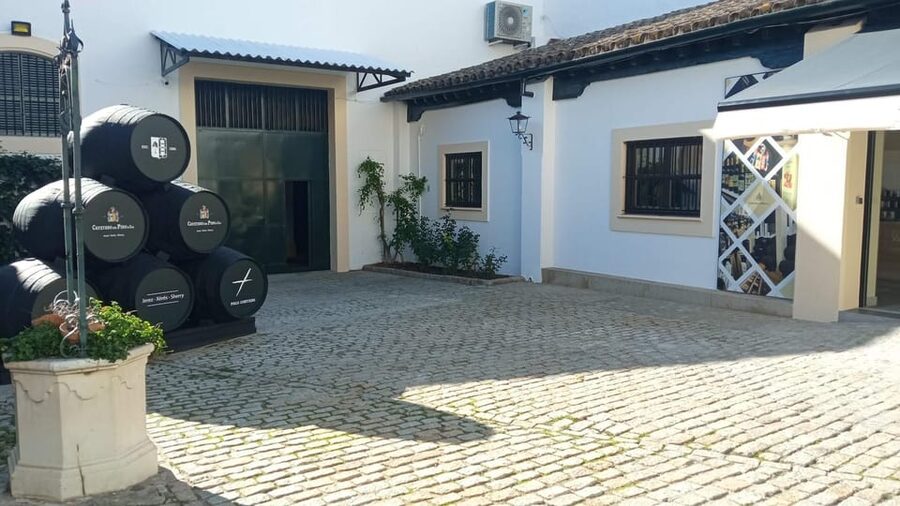 Jerez: Guided Winery Tour with Wine Tasting - Who should book this Jerez winery tour?