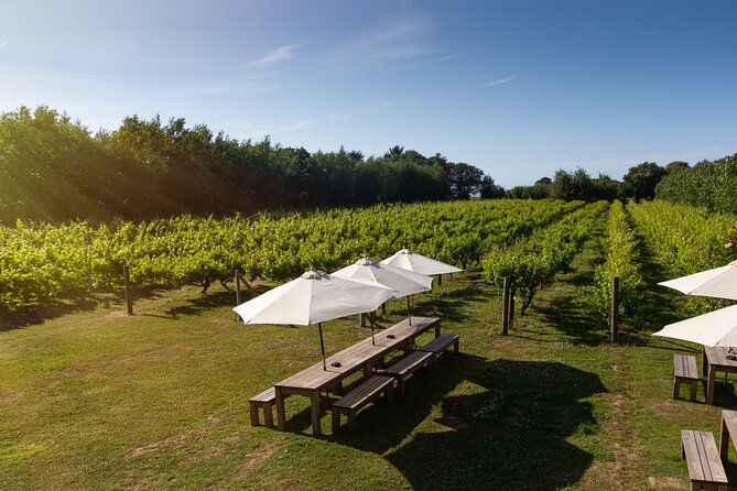 Jersey Premium Vineyard and Distillery Wine Tour and Tasting - Jersey Black Butter, chocolate, and estate-made treats