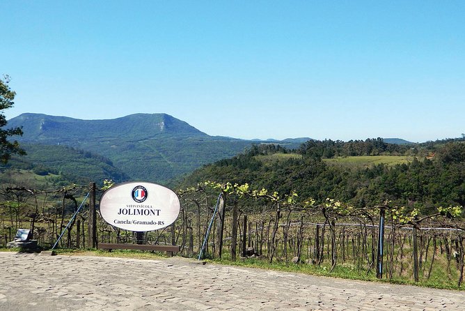 Jolimont Winery Tour - Visitation and Tasting - Canela RS - Eight samples in the tasting room