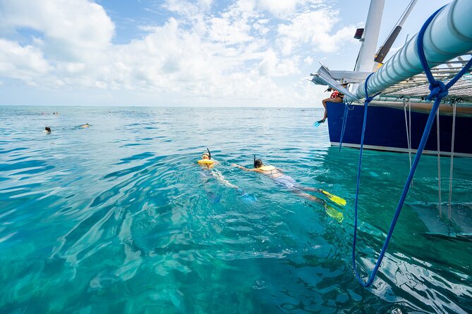 Key West Afternoon Snorkel Sail with Unlimited Cocktails! - What snorkeling at the reef is really like