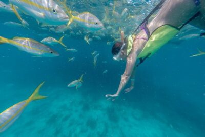 Key West Afternoon Snorkel Sail with Unlimited Cocktails!