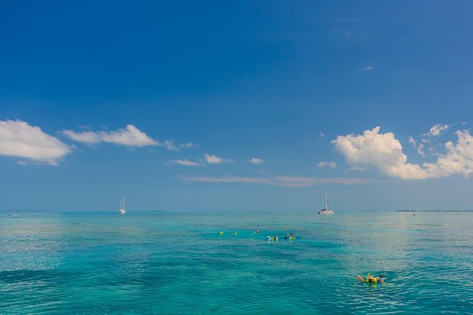 Key West Afternoon Snorkel Sail with Unlimited Cocktails! - Who should book this afternoon sail?