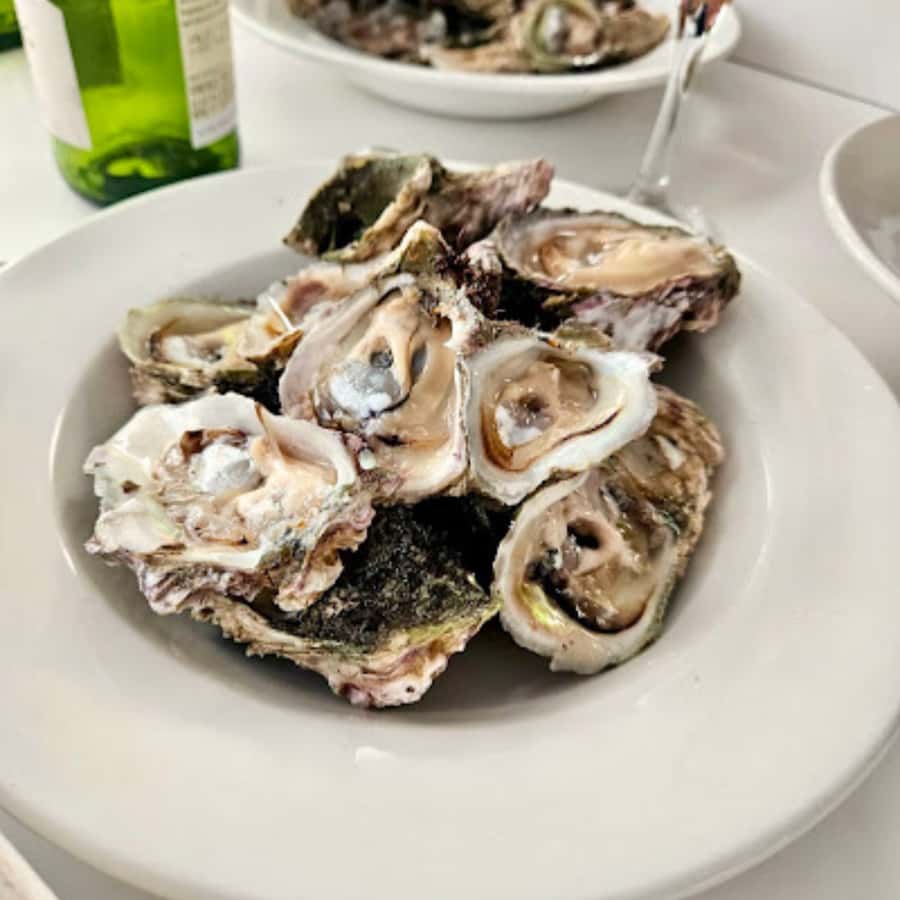 Knysna Lagoon: Boat Cruise with Oyster & White Wine Tasting - Reaching the Heads for the main views