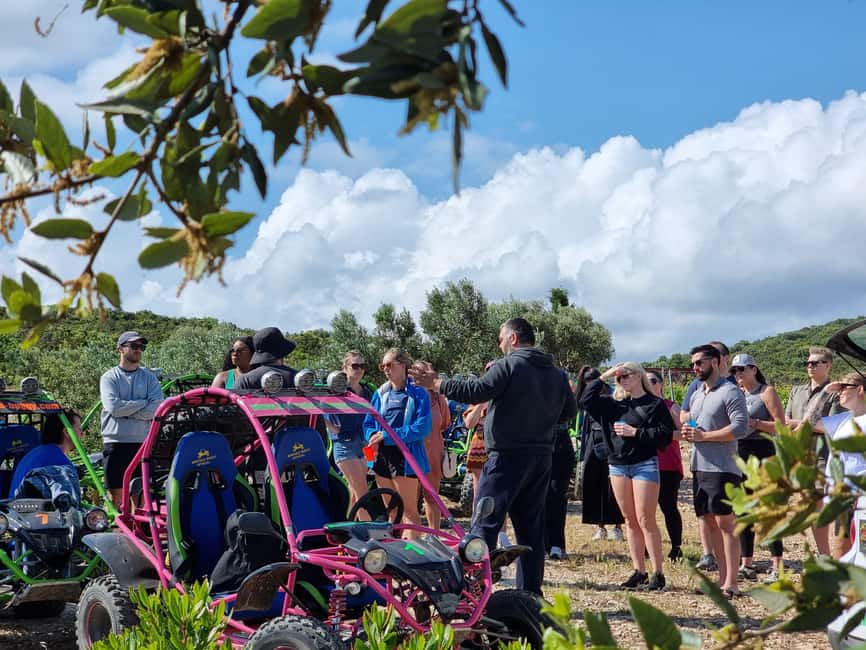 Korcula: Buggy Safari with Local Food and Wine Tasting - The Grk vineyard and Korcula’s local stories