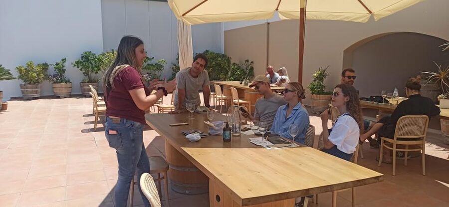 Kos: Wineries Tour w/ Wine Tastings & Transportation - The setting, guides, and pace