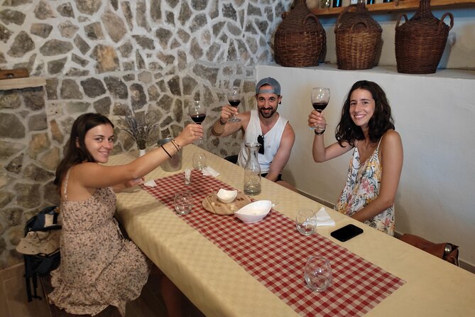Krka National Park Tour with tour Guide & Wine tasting from Split & Trogir - What the guides add to the day