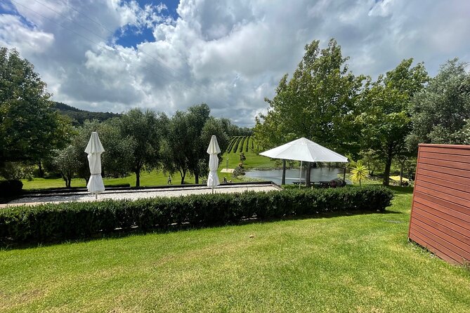 Kumeu Wine Tour - Why Kumeu makes a smart wine outing from Auckland