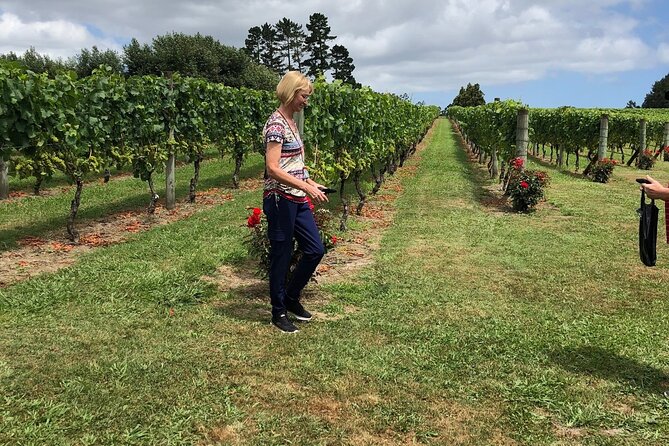 Kumeu Wine Tour - Soljans Estate Winery starts the tasting
