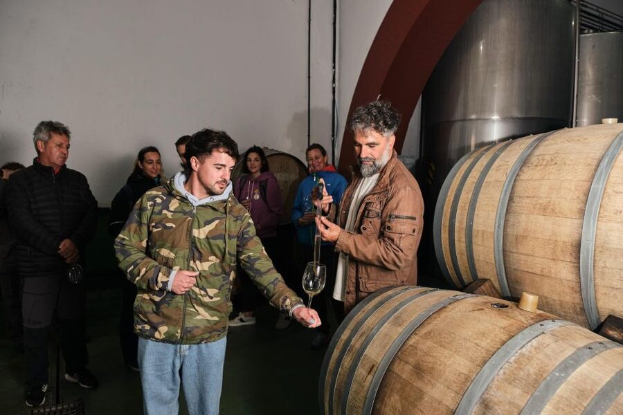 La Palma: Bodegas Teneguia Winery Tour with Wine Tasting - Timing, group size, and the holiday warning