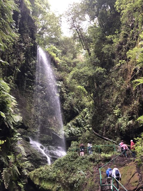 La Palma: North Island Bus Tour with Ron Aldea Distillery - Why La Palma’s northern side deserves a full day