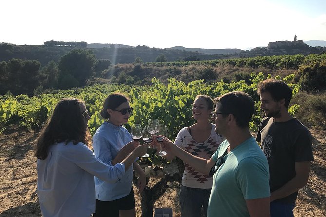 La Rioja Boutique Wine Tour & Charming Lunch (From Bilbao) - What the small group changes