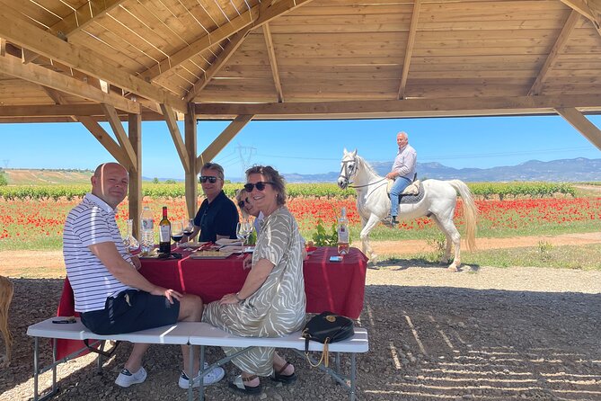 La Rioja Boutique Wine Tour & Charming Lunch (From Bilbao) - San Vicente de la Sonsierra: comparing modern Rioja
