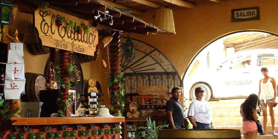 Lagos/Praia da Luz: Wine Tour, Tastings, Tapas, and Music - The tasting room and the view across the vines