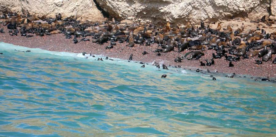 Lagos/Praia da Luz: Wine Tour, Tastings, Tapas, and Music - Shared tour or private outing?