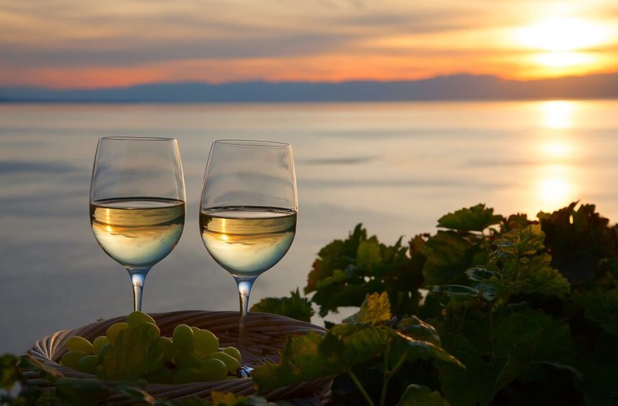 Lake Como: Winery Tour with Wine Tasting - The view is wonderful, but reaching it takes effort