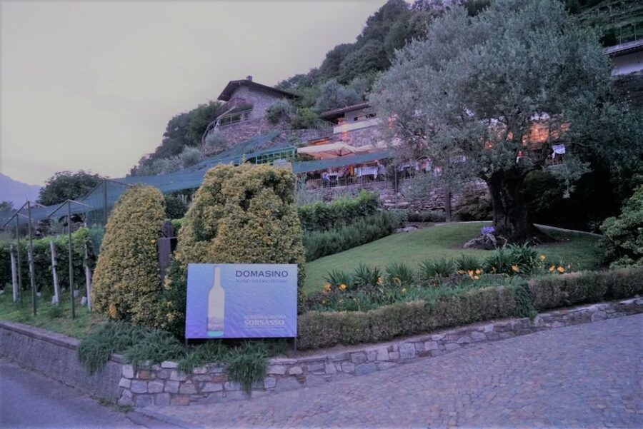 Lake Como: Winery Tour with Wine Tasting - Who will enjoy this most