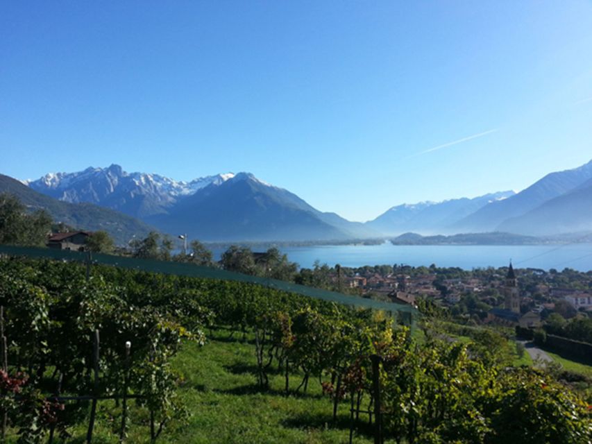 Lake Como: Winery Tour with Wine Tasting - Small details that improve the afternoon