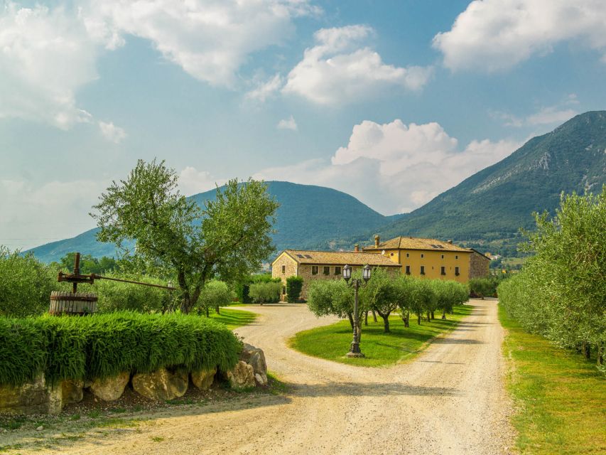 Lake Garda: Garda Hills Wine Tour and Tasting - Who Will Enjoy This Wine Tour Most?
