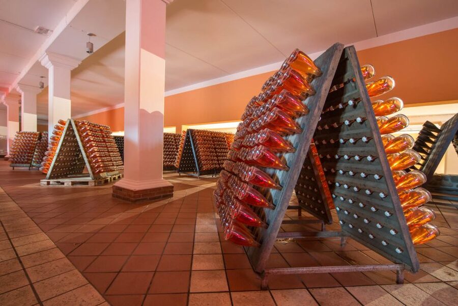 Lake Garda: Garda Hills Wine Tour and Tasting - Should You Book the Garda Hills Wine Tour?