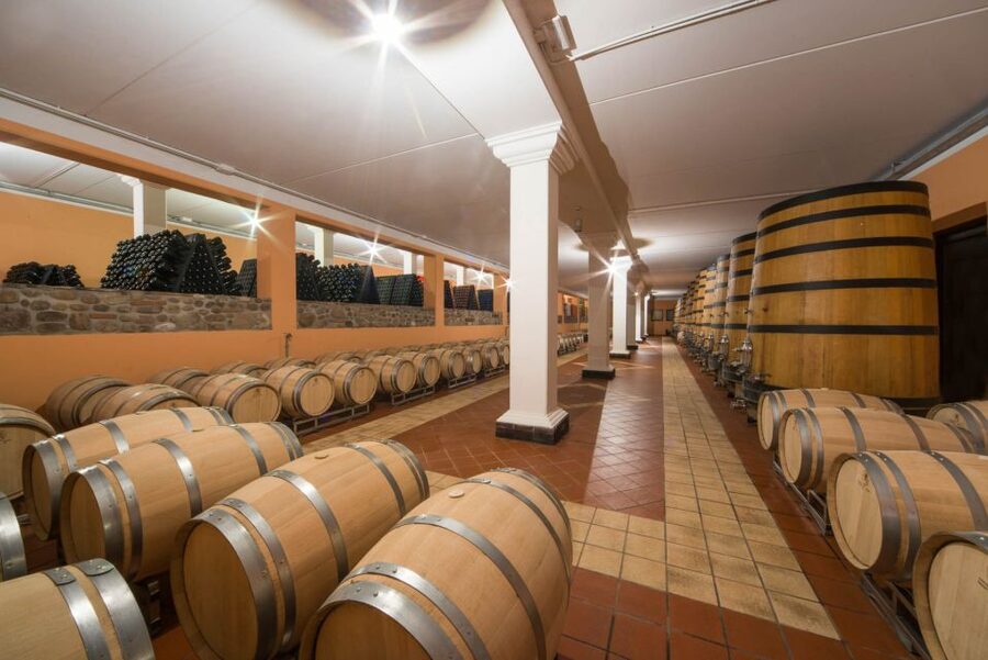 Lake Garda: Garda Hills Wine Tour and Tasting - Seeing the New and Aging Cellars