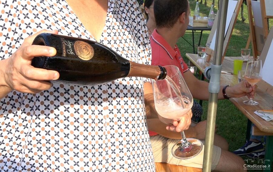 Lake Garda: Wine and Food Tastings in the Vineyards - Key points to know before you book