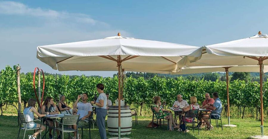 Lake Garda: Wine and Food Tastings in the Vineyards - What this Lake Garda tasting is really like