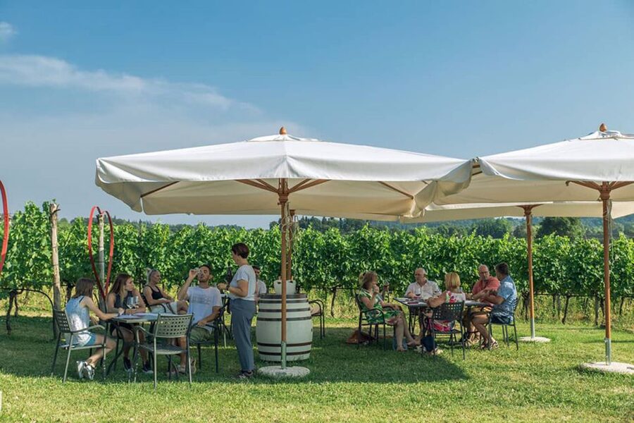 Lake Garda: Wine and Food Tastings in the Vineyards - Salami, cheese, bread, and olive oil