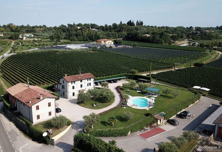 Lake Garda: Wine and Food Tastings in the Vineyards - The vineyard setting in Lazise