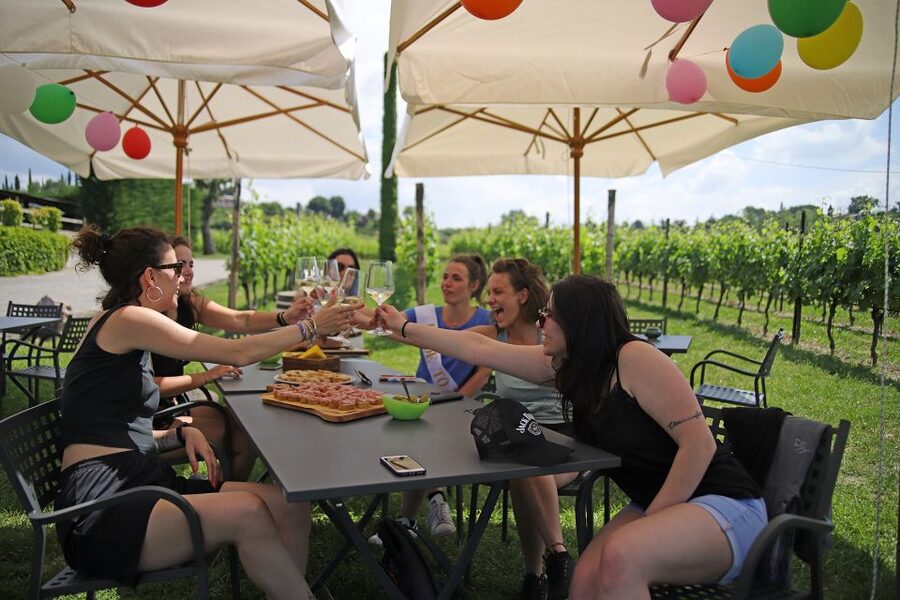 Lake Garda: Wine and Food Tastings in the Vineyards - Getting there and planning the visit