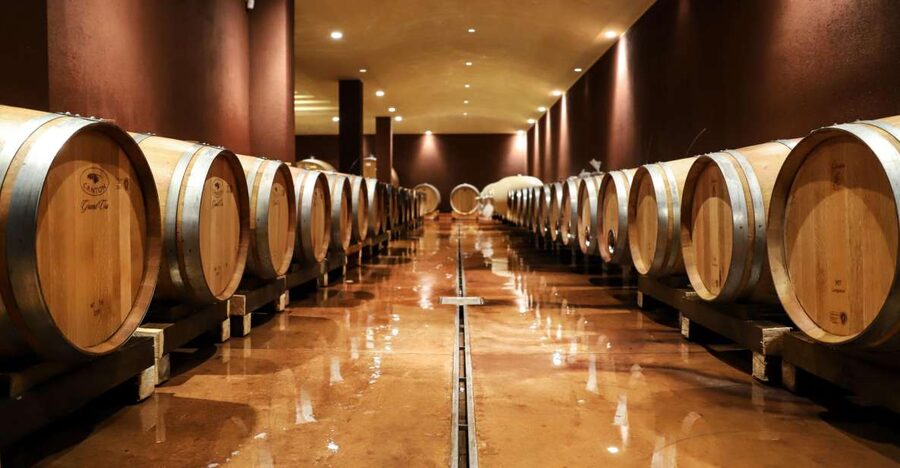 Lake Garda: Wine Tour and Tasting Experience in Bardolino - Four wines, local food, and olive oil
