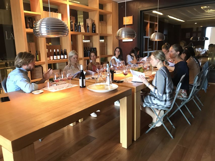 Lake Garda: Wine Tour and Tasting Experience in Bardolino - The views above Bardolino