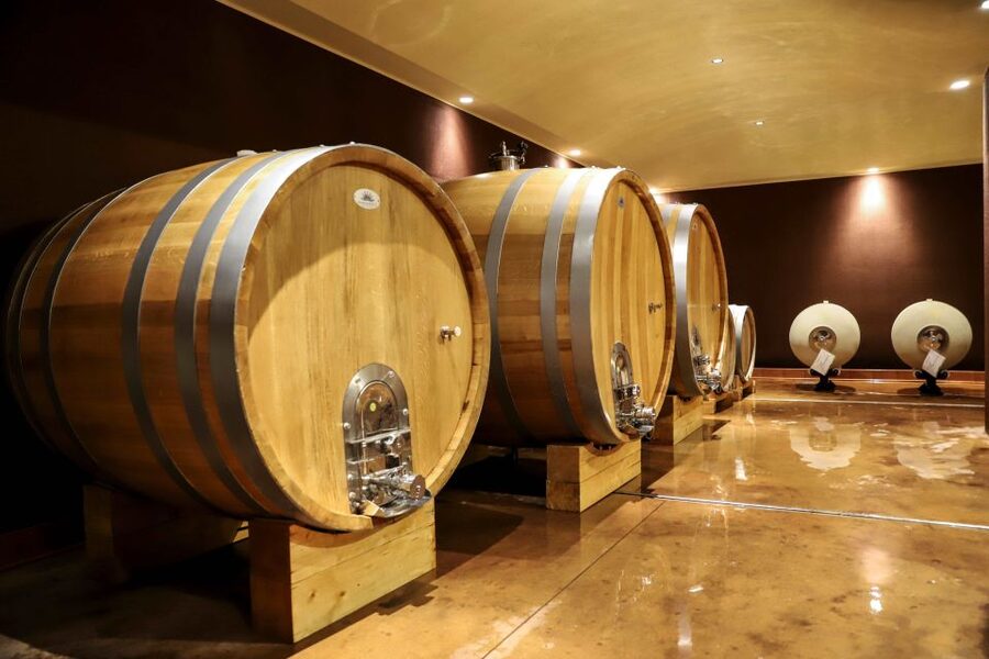 Lake Garda: Wine Tour and Tasting Experience in Bardolino - Who should book this experience?
