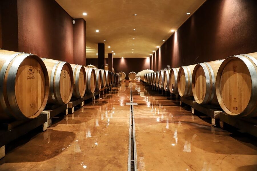 Lake Garda: Wine Tour and Tasting Experience in Bardolino - Walking through Tenuta La Cà