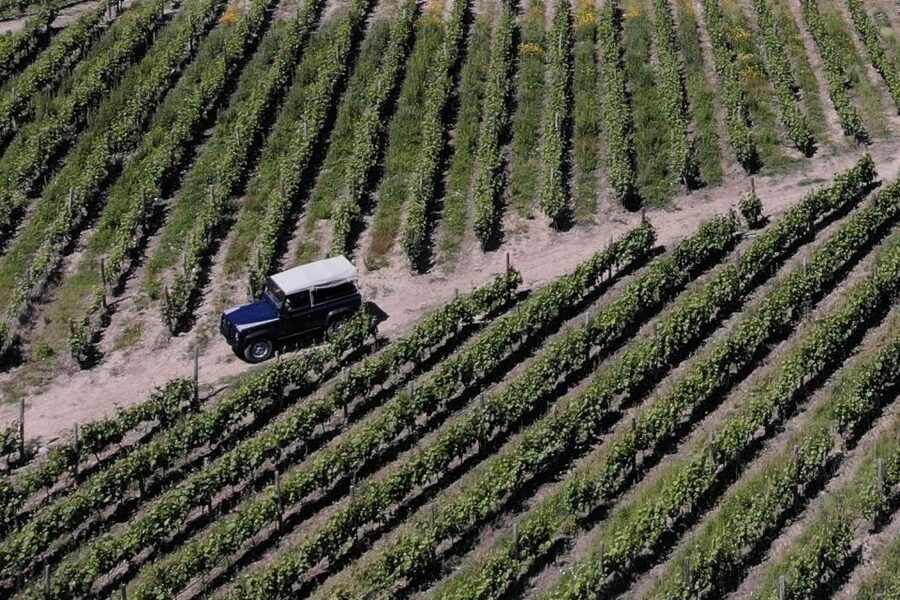 Lamego: Quinta da Portela de Baixo Winery Tour and Tasting - Key points at a glance