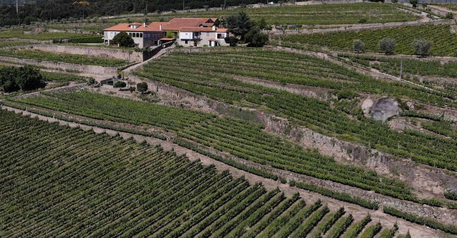 Lamego: Quinta da Portela de Baixo Winery Tour and Tasting - The Douro Valley view from the tasting table