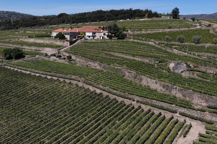 Lamego: Quinta da Portela de Baixo Winery Tour and Tasting - How much time should you allow?