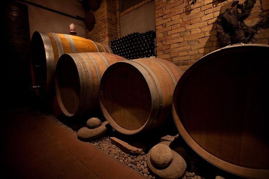 Langhe & Monferrato: Vineyard Tour and Wine Tasting - Six wines, from Chardonnay to Moscato d’Asti