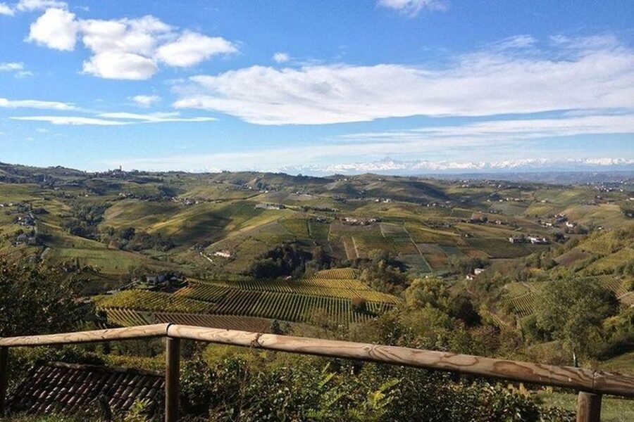 Langhe & Monferrato: Vineyard Tour and Wine Tasting - Should you book Bussi Piero Winery?
