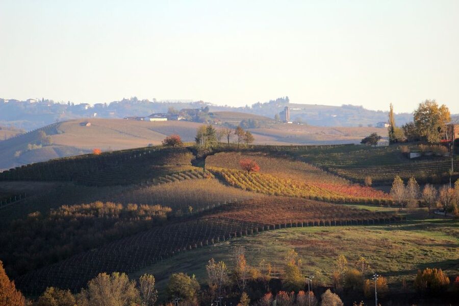 Langhe: Winery Tour and Wine Tasting - Booking details that affect your day