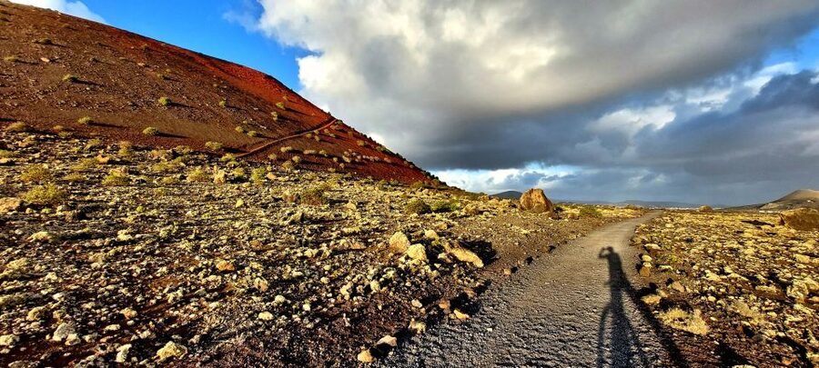 Lanzarote E-Bike Tour: Volcano Craters & Scenic Vineyards - Final verdict: a high-value ride for active sightseers