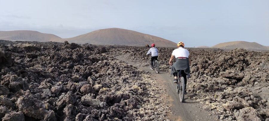 Lanzarote E-Bike Tour: Volcano Craters & Scenic Vineyards - La Geria shows how Lanzarote farms volcanic ash