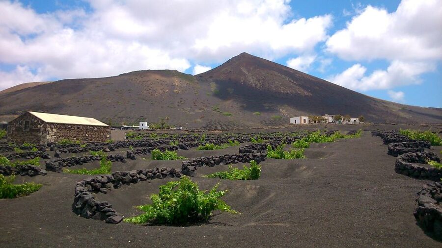 Lanzarote: La Geria Vineyards Hiking Tour - The views from Lanzarote’s volcanic high ground