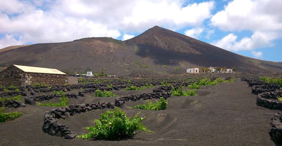 Lanzarote: La Geria Vineyards Hiking Tour - Is the $55 price good value?