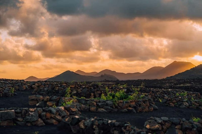 Lanzarote: Sunset vineyard tour with wine and chocolate tasting - Finca Testeina and its 16th-century roots